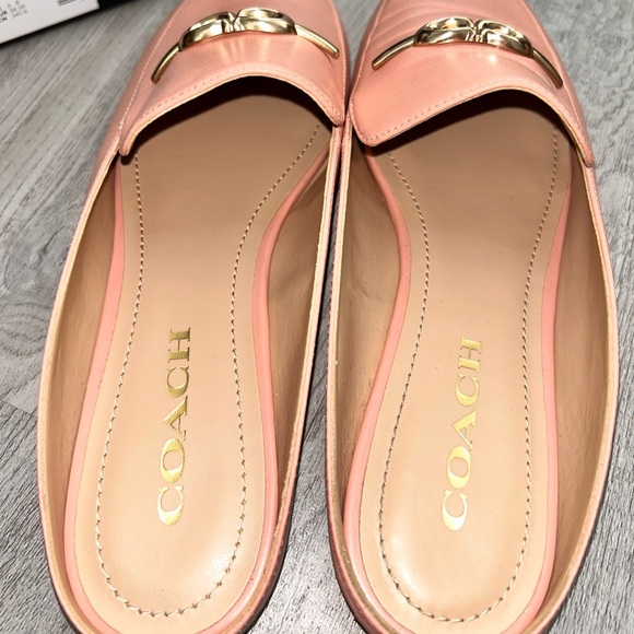 Coach slides - Picture 2 of 8